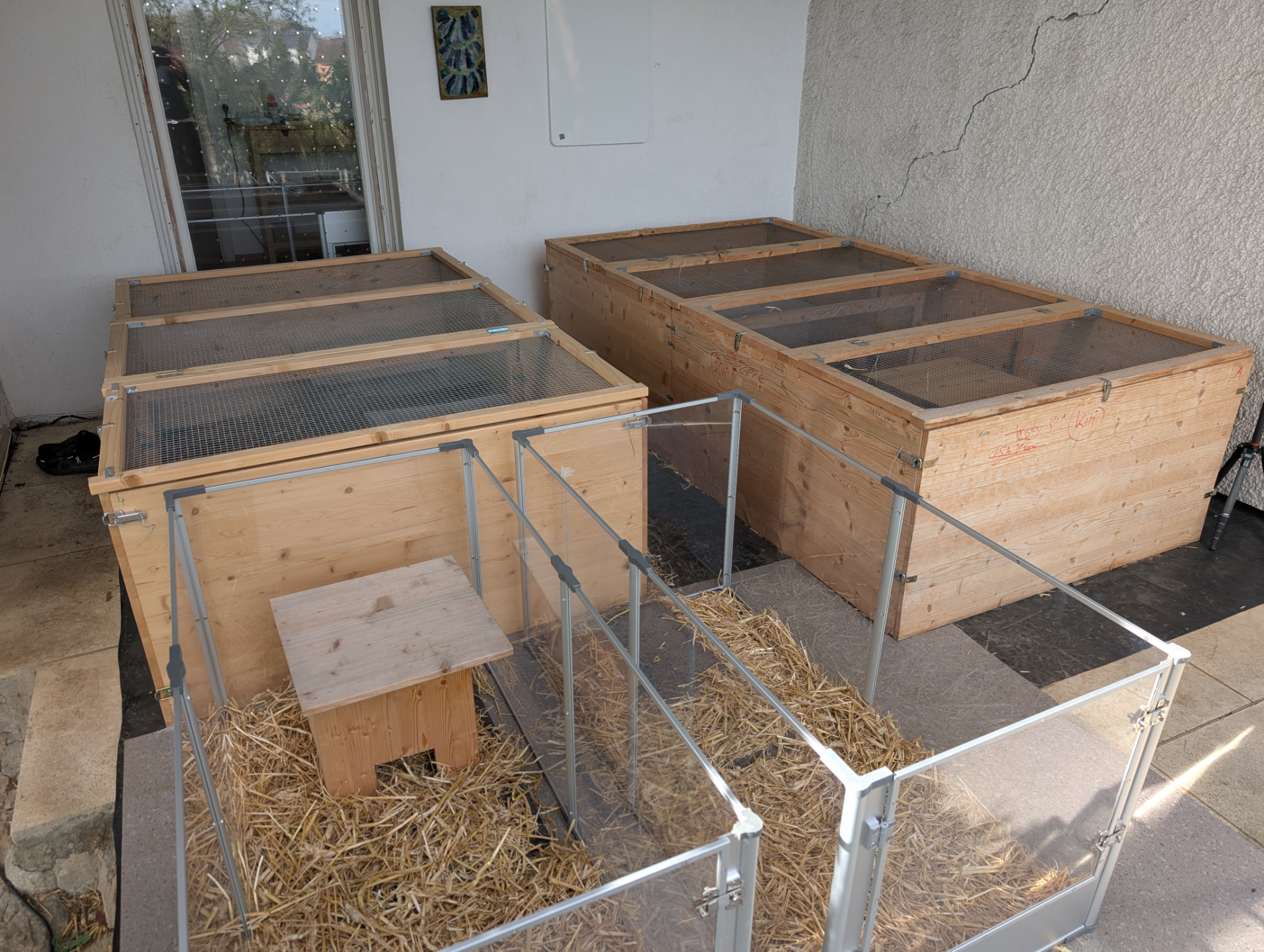 Igel noch im Winterschlaf